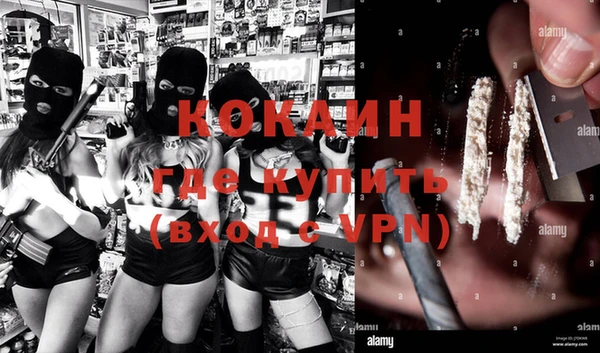 прущие грибы Арсеньев