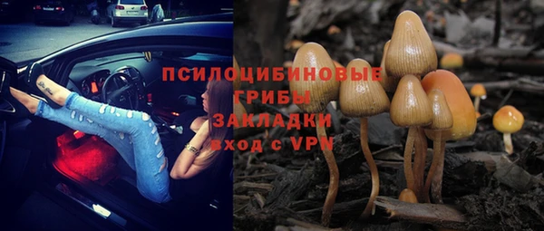 герыч Аркадак