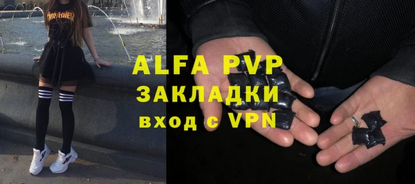 прущие грибы Арсеньев