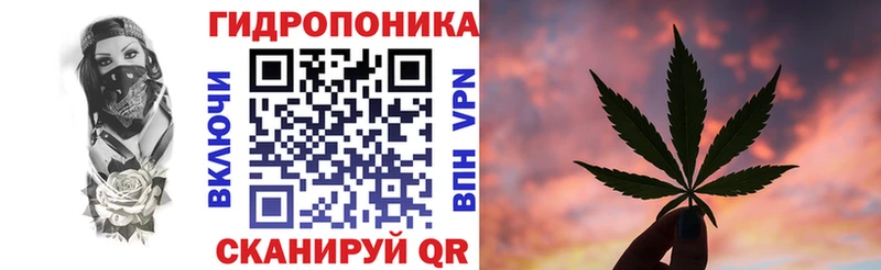 Каннабис планчик  Островной 